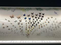 -香港科学馆