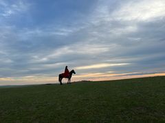 -额尔古纳黑山头绿野马帮骑马场
