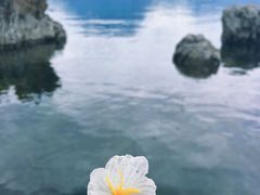 -丽江泸沽湖景区