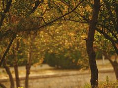 -元大都城垣遗址公园