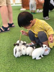 -萌宠亲子动物乐园(槐房万达店)