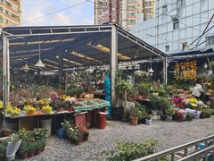 -曲阳花鸟市场(曲阳路店)