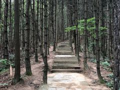 -罗田薄刀峰风景区