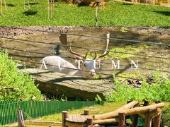 -沈阳森林动物园