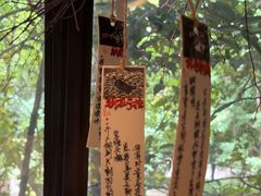-橡皮书店(翠湖北路店)