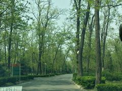 -顺鑫绿色度假村