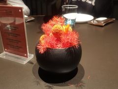 -三利音·玖弄小鲜(浦东嘉里城店)