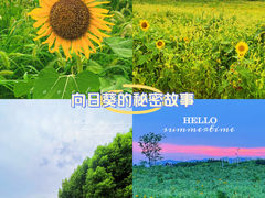 -虎丘湿地公园