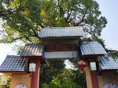 -晓雯人家