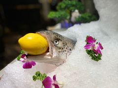 -加餐海鲜自助(宝龙一城店)