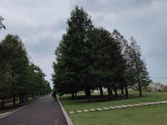 -苏州东太湖生态园