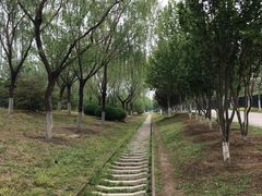 -永定河休闲森林公园