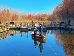 -溱湖国家湿地公园