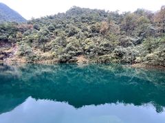 -大奇山国家森林公园