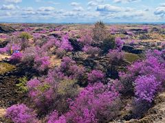 -镜泊湖聚仙楼鱼馆