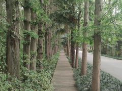 -同里国家湿地公园