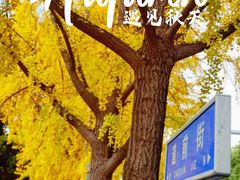 -北寺塔