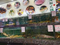 水产区-宝燕壹号(徐汇店)