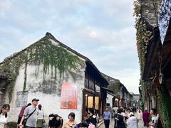 -滋啦啦油煎铺一乌镇萝卜丝饼