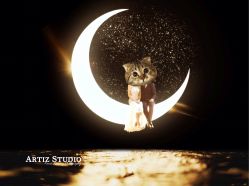 点击看大图 -THE QUEEN(北京店)