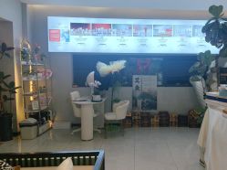 点击看大图 -阅年轻·AI家庭健康体质调理
