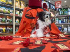 -宠物家(双井店)