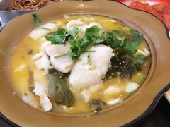 酸菜鱼-做了不起的80后