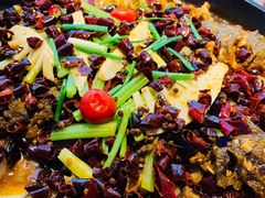 -老板恋上鱼(恒隆广场店)