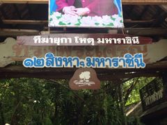 -绿光森林餐厅
