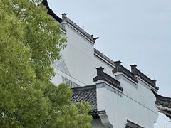 -八大山人梅湖景区