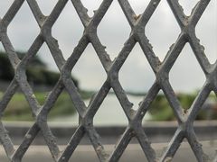 -福田红树林生态公园