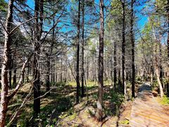 -白草畔自然风景区