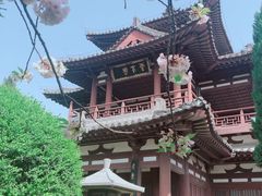 -西安青龙寺遗址景区
