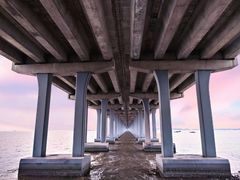 -宝安西湾红树林湿地公园