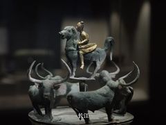 -武汉园博园(武汉自然博物馆)