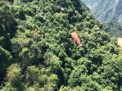 -少华山国家森林公园