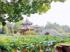 -莲池书院博物馆