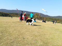 -钟山体育运动公园