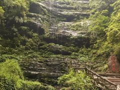 -碧峰峡风景区