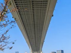 -中澳友谊花园