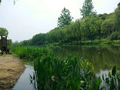 -新江湾城公园