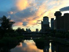 -西树泡芙(蓝色港湾店)