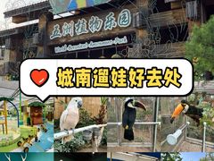-南宫五洲植物乐园