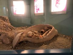 -安塔利亚博物馆