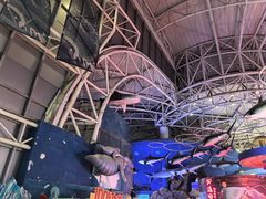 -烟台海昌鲸鲨海洋公园