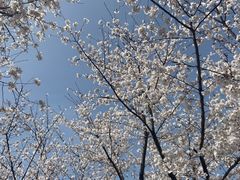 -龙美术馆(西岸馆)