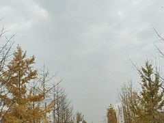 -汉景帝阳陵博物院