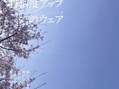 -西北湖绿化广场