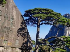 -黄山风景区