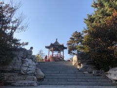 -大兴滨河森林公园